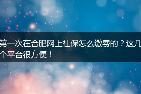 第一次在合肥网上社保怎么缴费的?这几个平台很方便!