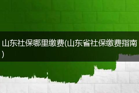 山东社保哪里缴费(山东省社保缴费指南)