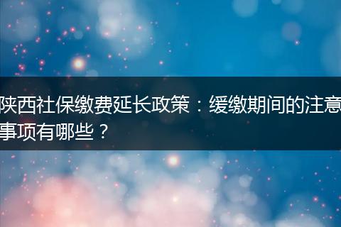 陕西社保缴费延长政策:缓缴期间的注意事项有哪些?