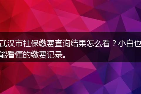 武汉市社保缴费查询结果怎么看?小白也能看懂的缴费记录。