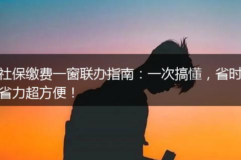 社保缴费一窗联办指南：一次搞懂，省时省力超方便！
