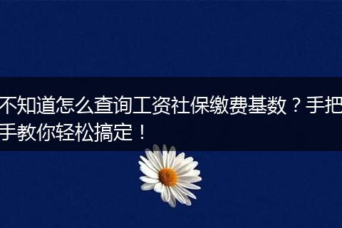 不知道怎么查询工资社保缴费基数？手把手教你轻松搞定！
