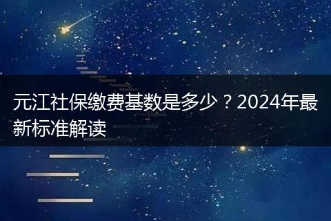 元江社保缴费基数是多少？2024年最新标准解读