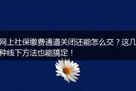 网上社保缴费通道关闭还能怎么交？这几种线下方法也能搞定！
