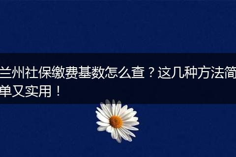兰州社保缴费基数怎么查？这几种方法简单又实用！