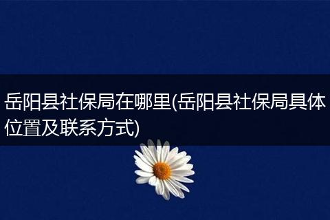 岳阳县社保局在哪里(岳阳县社保局具体位置及联系方式)