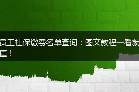员工社保缴费名单查询：图文教程一看就懂！
