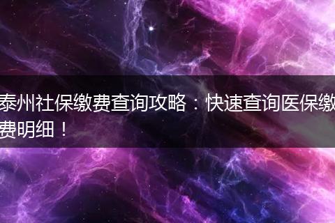 泰州社保缴费查询攻略：快速查询医保缴费明细！