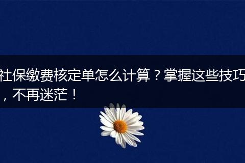 社保缴费核定单怎么计算？掌握这些技巧，不再迷茫！