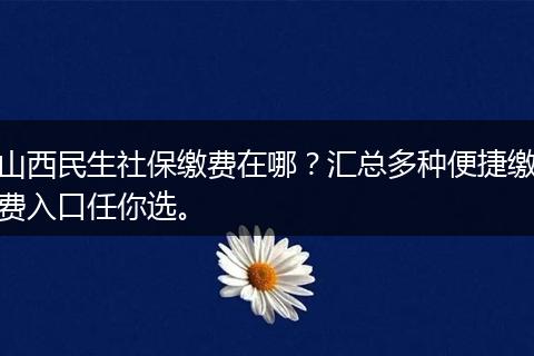 山西民生社保缴费在哪？汇总多种便捷缴费入口任你选。