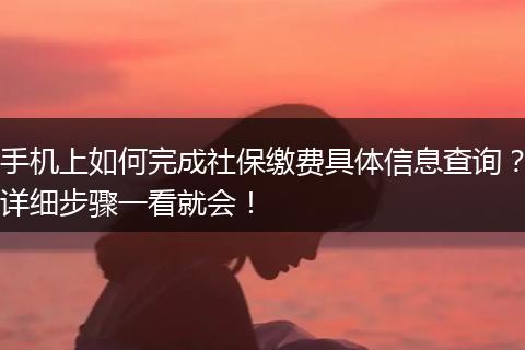 手机上如何完成社保缴费具体信息查询？详细步骤一看就会！