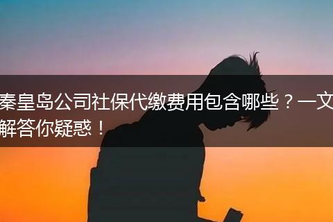 秦皇岛公司社保代缴费用包含哪些？一文解答你疑惑！