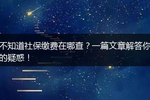 不知道社保缴费在哪查？一篇文章解答你的疑惑！