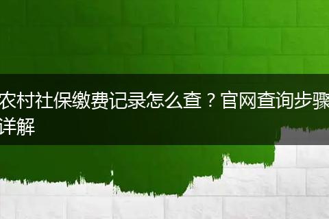 农村社保缴费记录怎么查?官网查询步骤详解