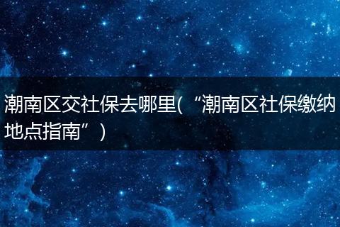 潮南区交社保去哪里(“潮南区社保缴纳地点指南”)