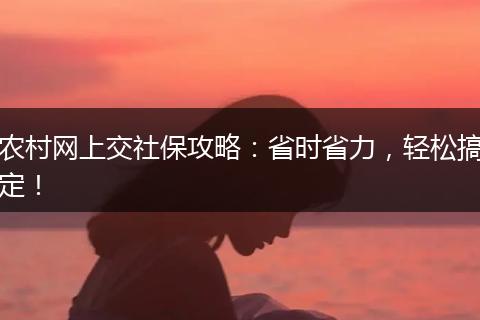 农村网上交社保攻略：省时省力，轻松搞定！