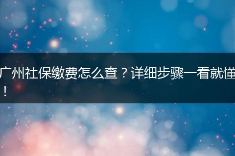 广州社保缴费怎么查？详细步骤一看就懂！
