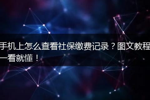 手机上怎么查看社保缴费记录？图文教程一看就懂！