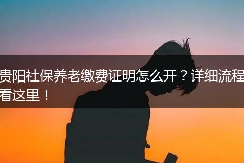 贵阳社保养老缴费证明怎么开？详细流程看这里！