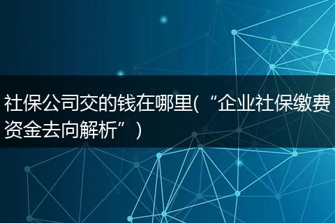 社保公司交的钱在哪里(“企业社保缴费资金去向解析”)