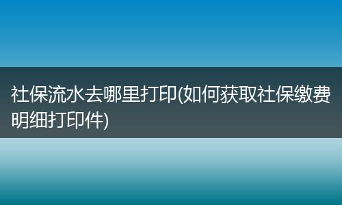 社保流水去哪里打印(如何获取社保缴费明细打印件)