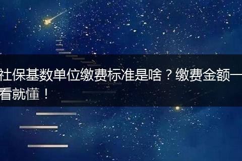 社保基数单位缴费标准是啥？缴费金额一看就懂！