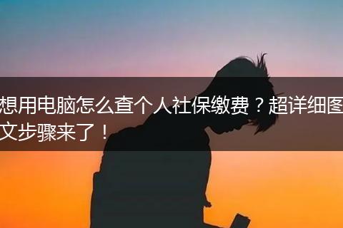 想用电脑怎么查个人社保缴费？超详细图文步骤来了！