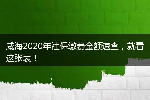威海2020年社保缴费金额速查，就看这张表！