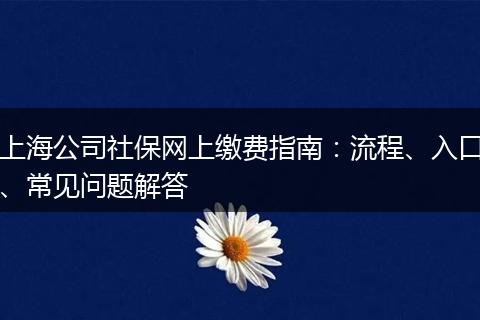 上海公司社保网上缴费指南：流程、入口、常见问题解答