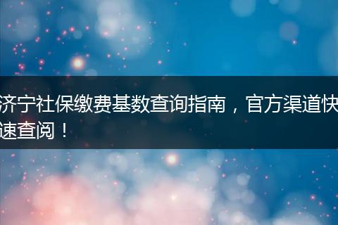 济宁社保缴费基数查询指南，官方渠道快速查阅！