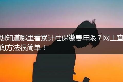 想知道哪里看累计社保缴费年限？网上查询方法很简单！