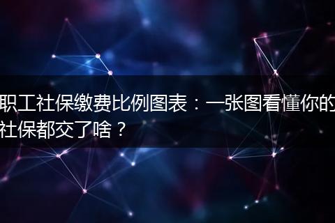 职工社保缴费比例图表：一张图看懂你的社保都交了啥？