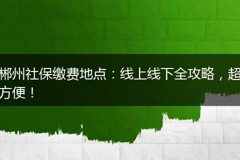 郴州社保缴费地点：线上线下全攻略，超方便！