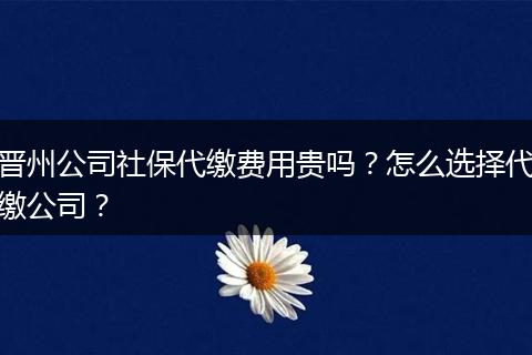 晋州公司社保代缴费用贵吗？怎么选择代缴公司？