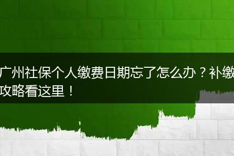 广州社保个人缴费日期忘了怎么办？补缴攻略看这里！