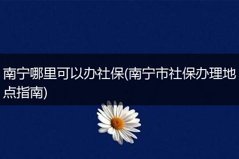 南宁哪里可以办社保(南宁市社保办理地点指南)