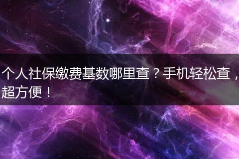 个人社保缴费基数哪里查？手机轻松查，超方便！
