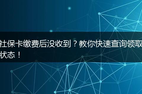 社保卡缴费后没收到？教你快速查询领取状态！