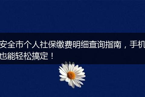 安全市个人社保缴费明细查询指南，手机也能轻松搞定！