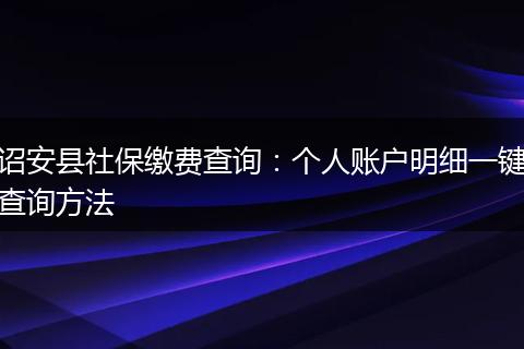 诏安县社保缴费查询:个人账户明细一键查询方法