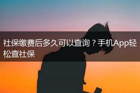 社保缴费后多久可以查询?手机App轻松查社保