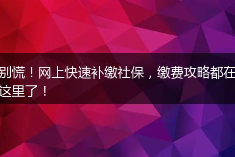 别慌！网上快速补缴社保，缴费攻略都在这里了！