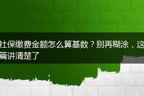 社保缴费金额怎么算基数？别再糊涂，这篇讲清楚了