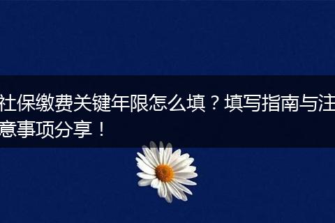 社保缴费关键年限怎么填？填写指南与注意事项分享！