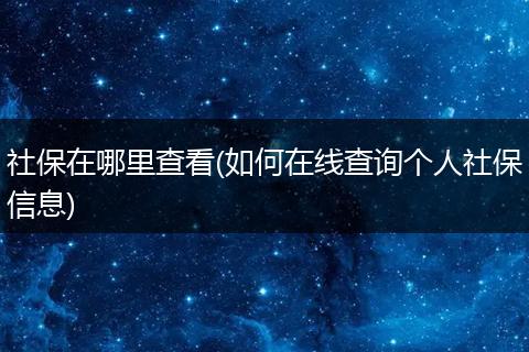社保在哪里查看(如何在线查询个人社保信息)