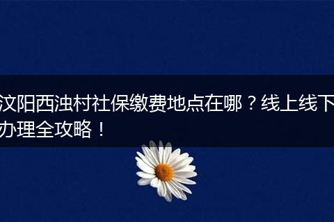 汶阳西浊村社保缴费地点在哪？线上线下办理全攻略！