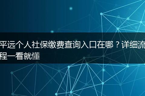平远个人社保缴费查询入口在哪？详细流程一看就懂