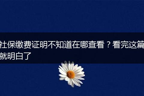 社保缴费证明不知道在哪查看?看完这篇就明白了