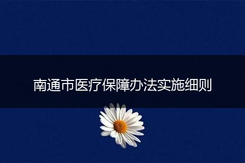 南通市医疗保障办法实施细则