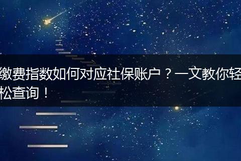 缴费指数如何对应社保账户?一文教你轻松查询!